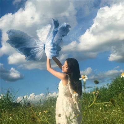 木材宝藏狗